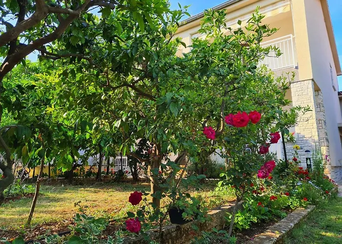 & Tom 아파트 메덜린