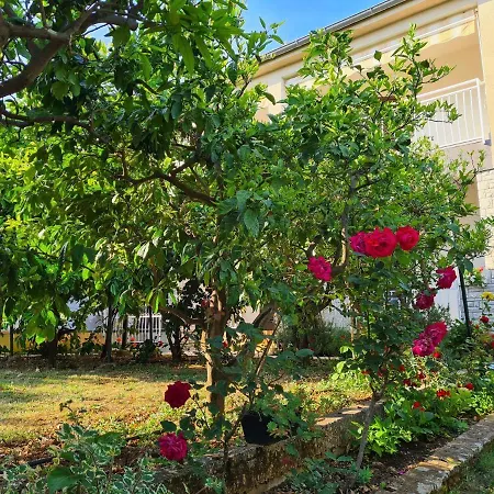 & Tom Apartman Medulin