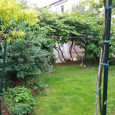 & Tom * Медулин