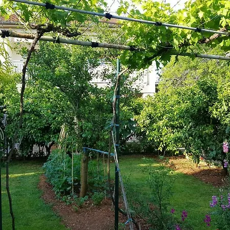 Апартаменты & Tom