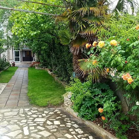 & Tom Медулин