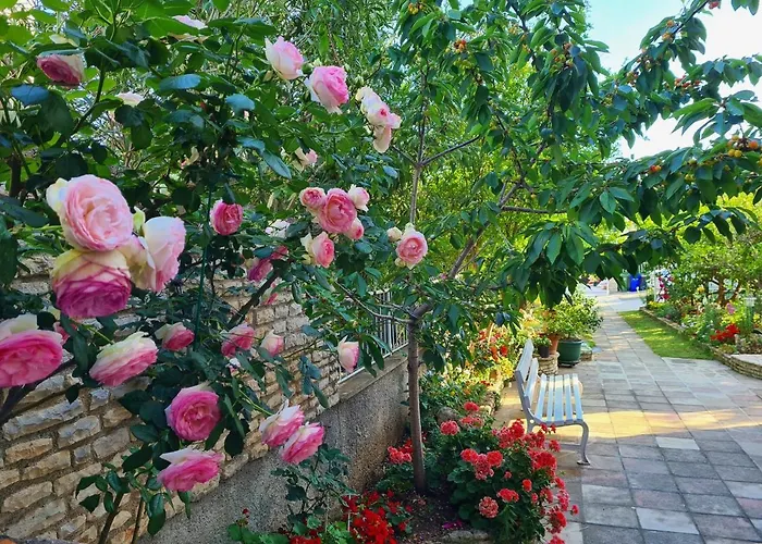 Apartman & Tom Medulin